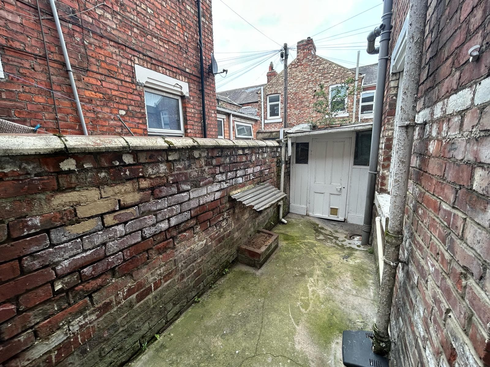 Property 10