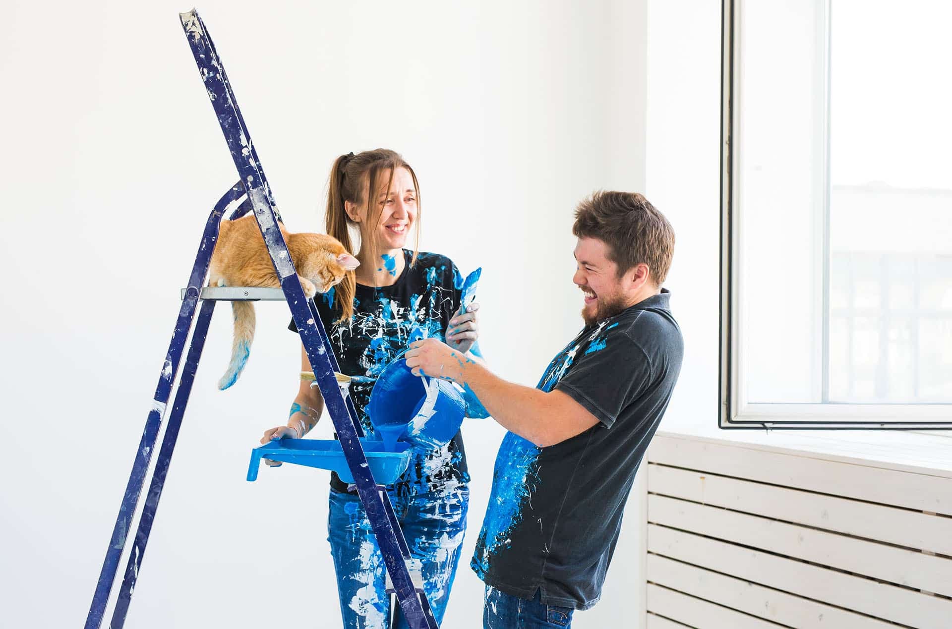 Project Management & Refurbishments